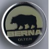 Pin BERNA Signet